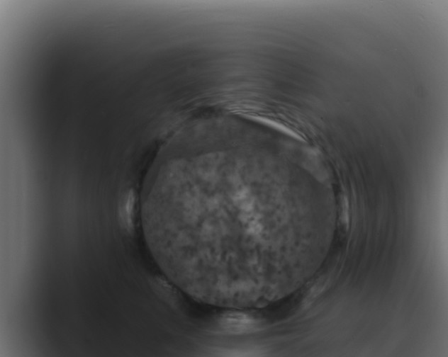 X0000089680519200706281400