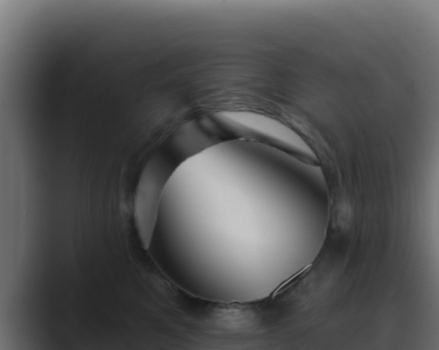 X0000089680521200706281400