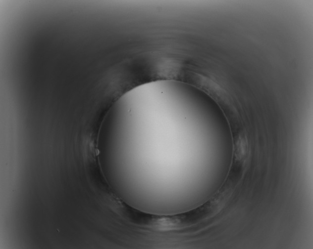 X0000089680522200706281400
