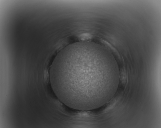 X0000089680523200706281400