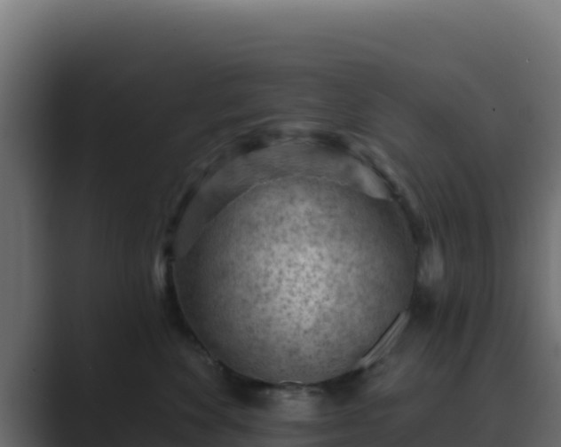 X0000089680524200706281400