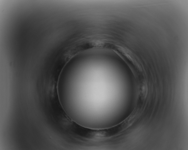 X0000089680525200706281400