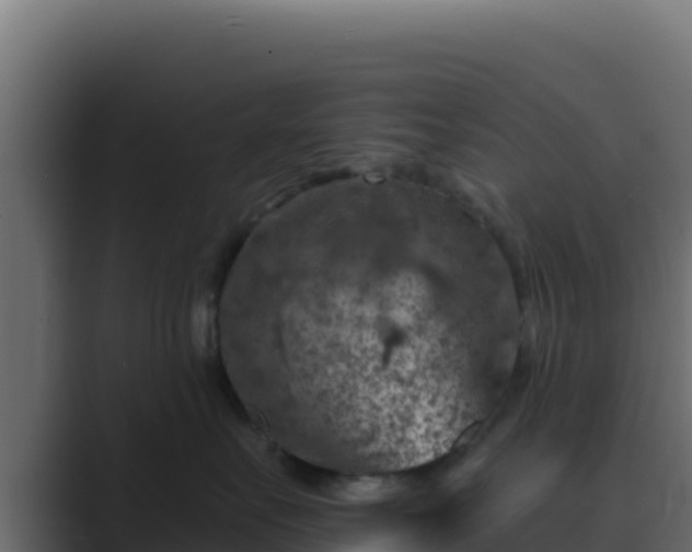 X0000089680527200706281400