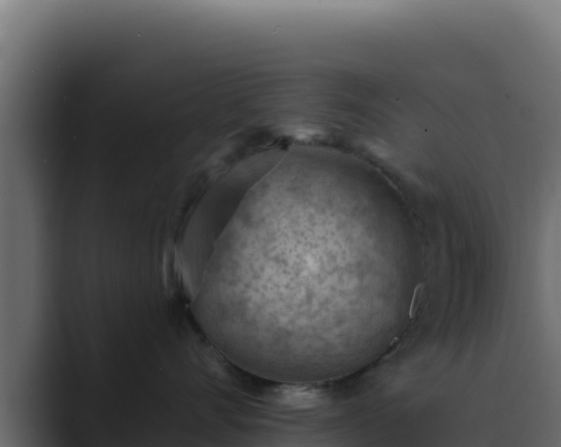 X0000089680528200706281400