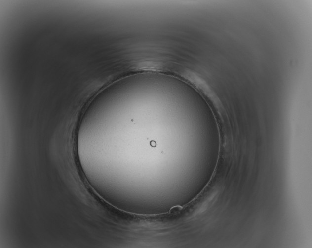X0000089680529200706281359