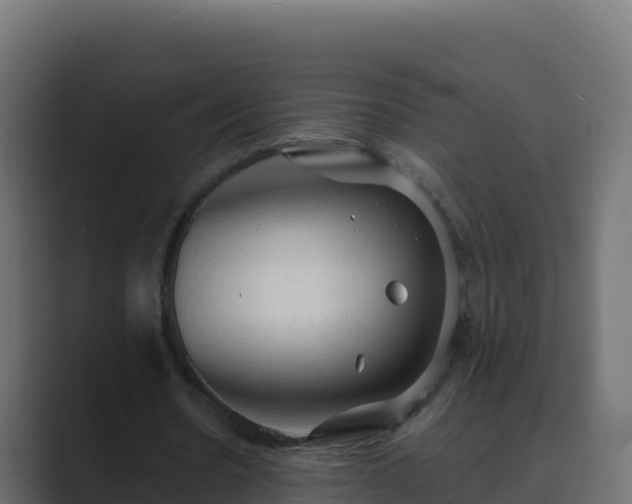 X0000089680530200706281359