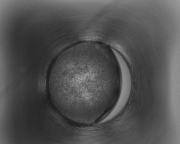 X0000089680531200706281359