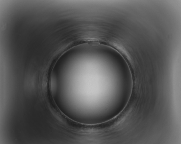 X0000089680533200706281359