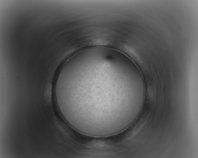 X0000089680534200706281359