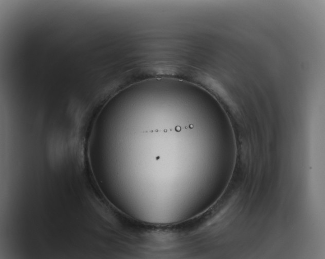 X0000089680537200706281359