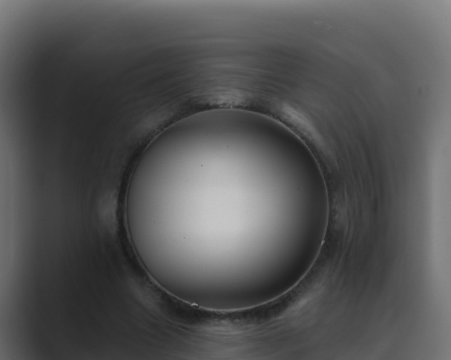 X0000089680538200706281359