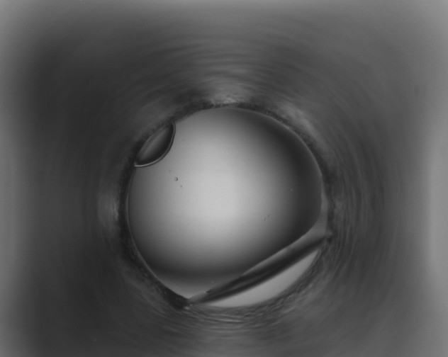 X0000089680539200706281359