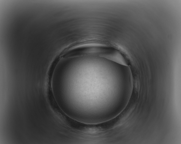 X0000089680540200706281359