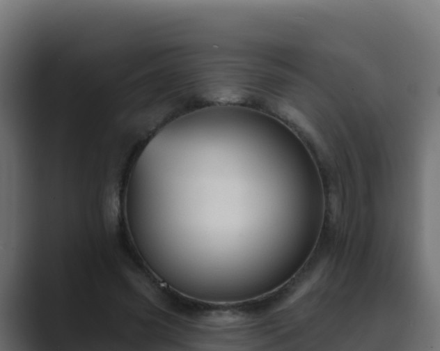 X0000089680541200706281359