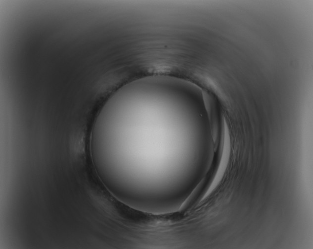 X0000089680543200706281359