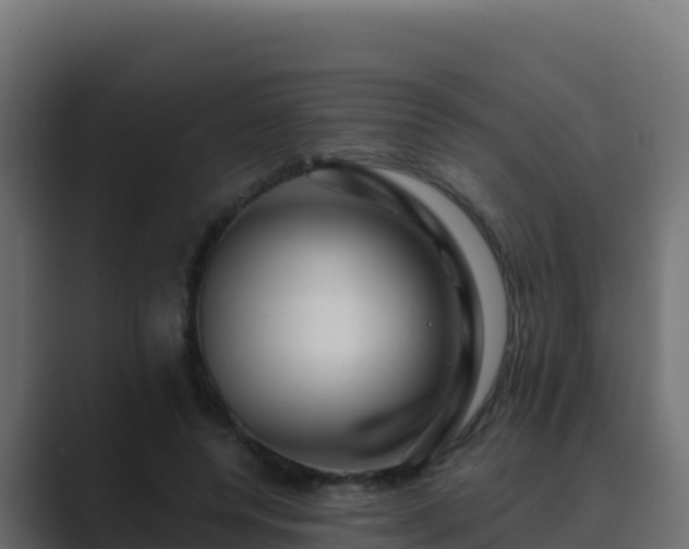 X0000089680544200706281359
