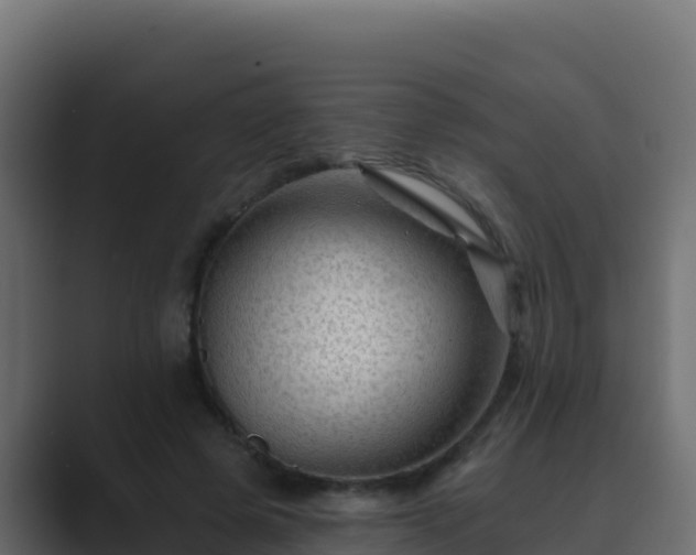 X0000089680545200706281359