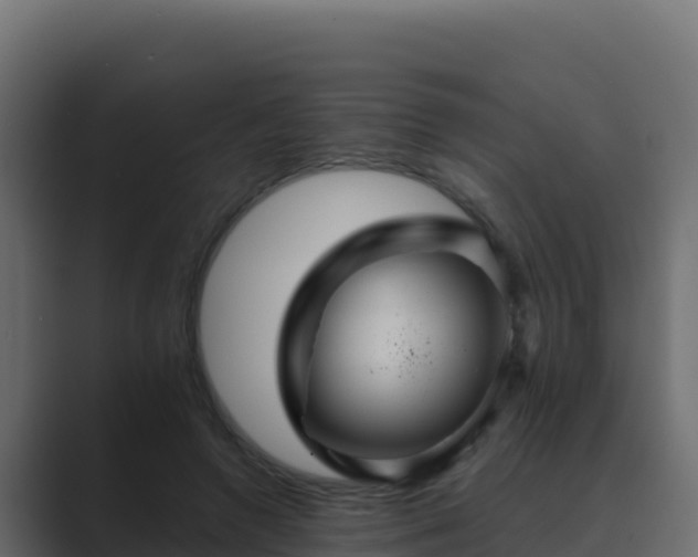 X0000089680546200706281359