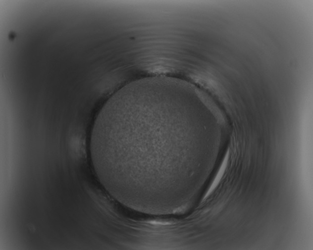 X0000089680547200706281359