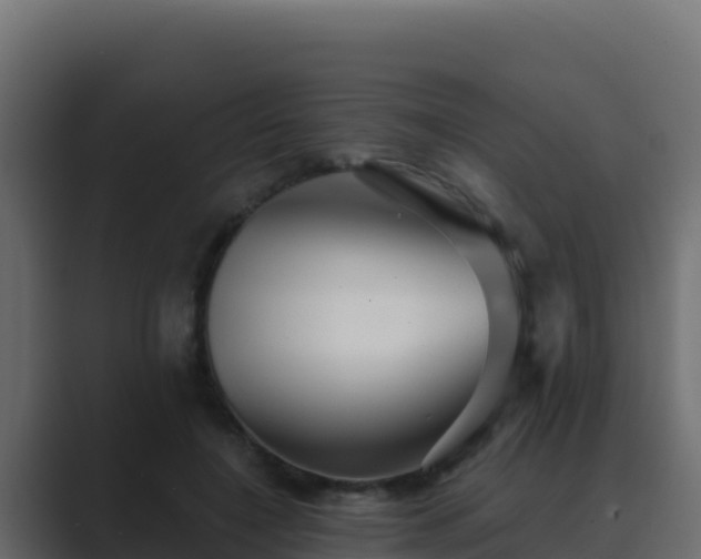 X0000089680548200706281359