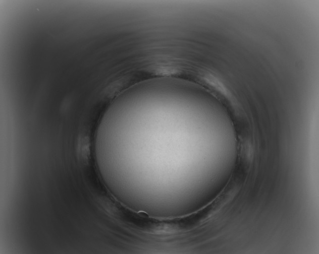 X0000089680549200706281359