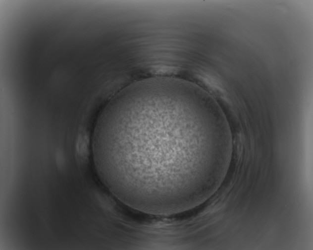 X0000089680550200706281359