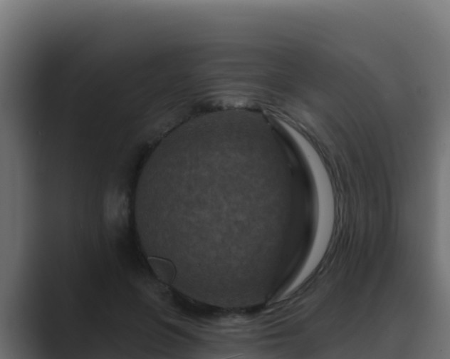 X0000089680551200706281359