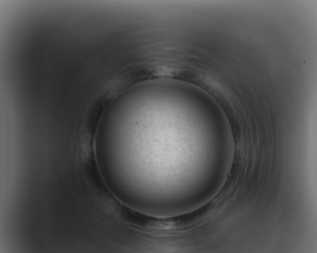 X0000089680554200706281359