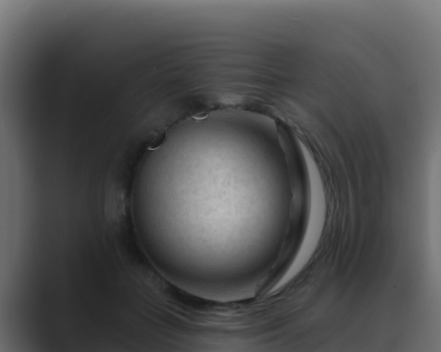 X0000089680555200706281359