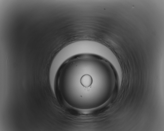 X0000089680556200706281359