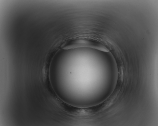 X0000089680558200706281359