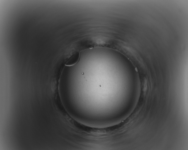 X0000089680559200706281400