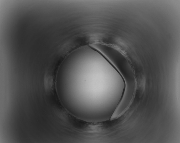 X0000089680560200706281400