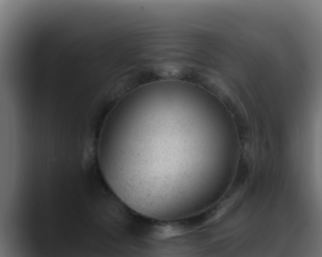 X0000089680561200706281400