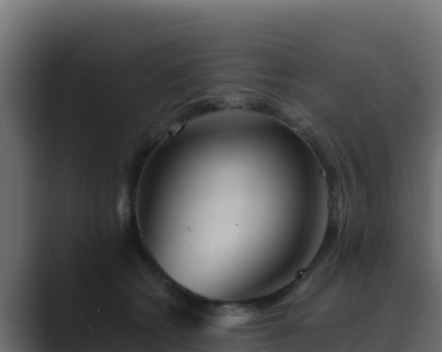 X0000089680562200706281400