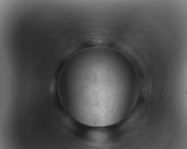 X0000089680563200706281400