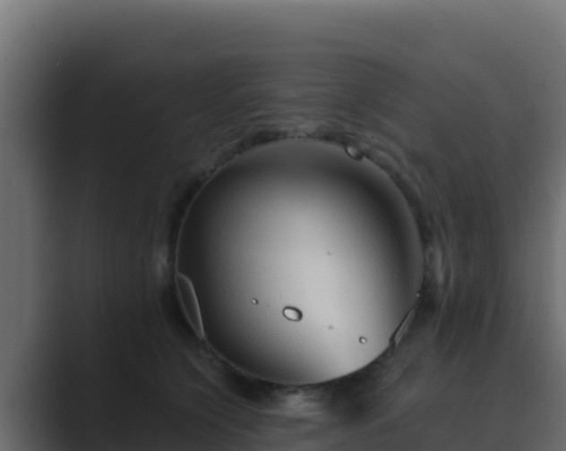 X0000089680564200706281400
