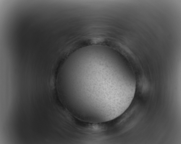 X0000089680565200706281400