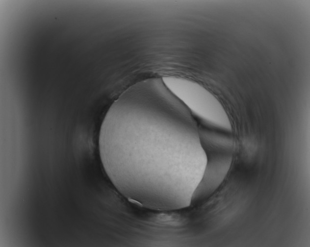 X0000089680566200706281400