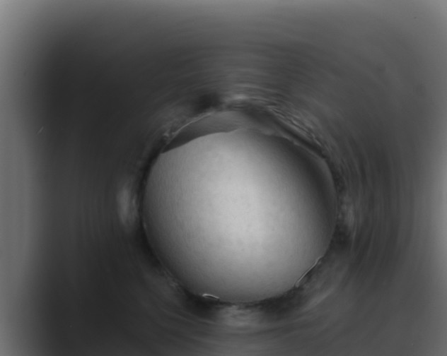 X0000089680568200706281400
