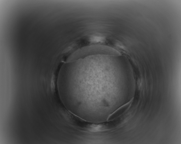X0000089680570200706281400