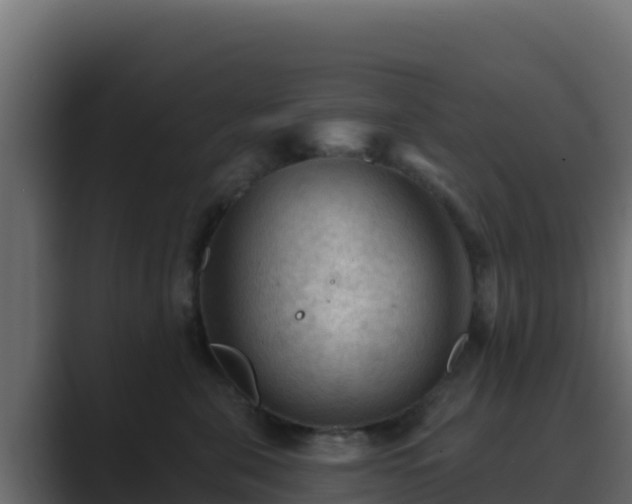X0000089680571200706281400