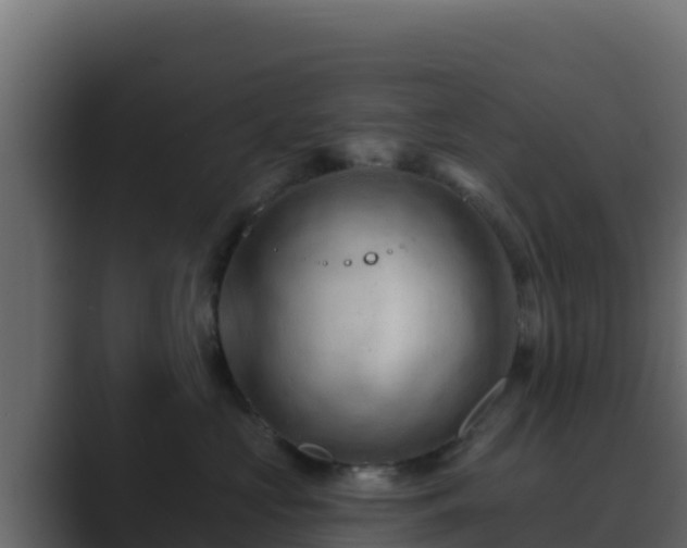 X0000089680573200706281400