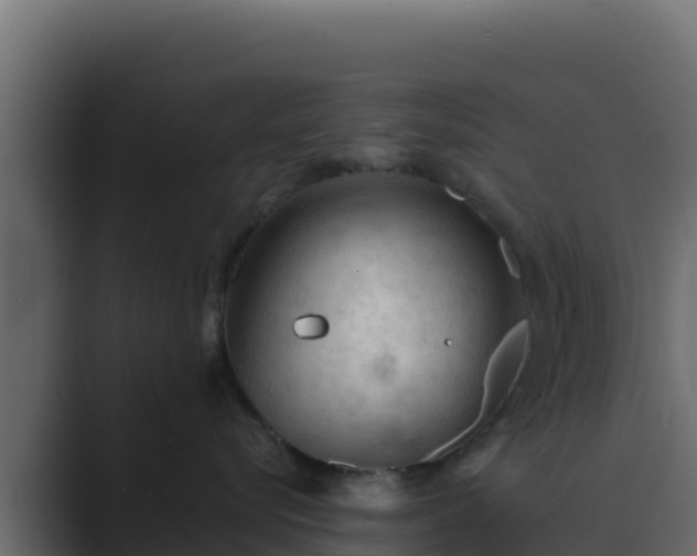 X0000089680576200706281400
