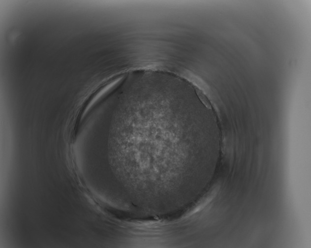 X0000089680577200706281359