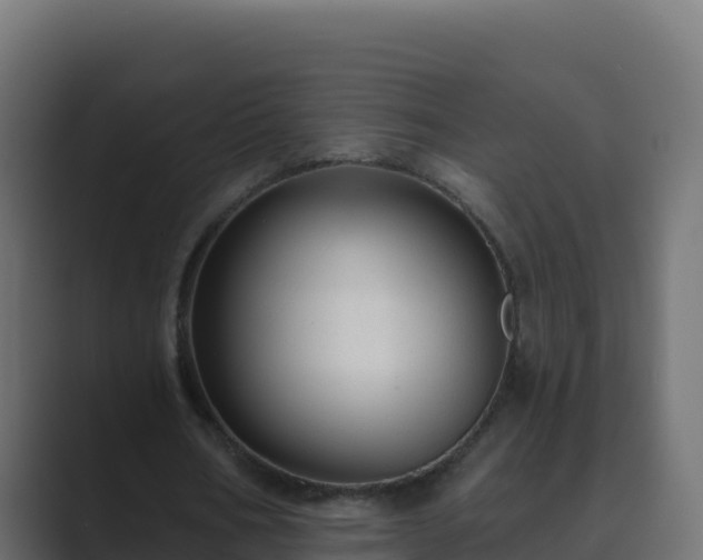 X0000089680578200706281359