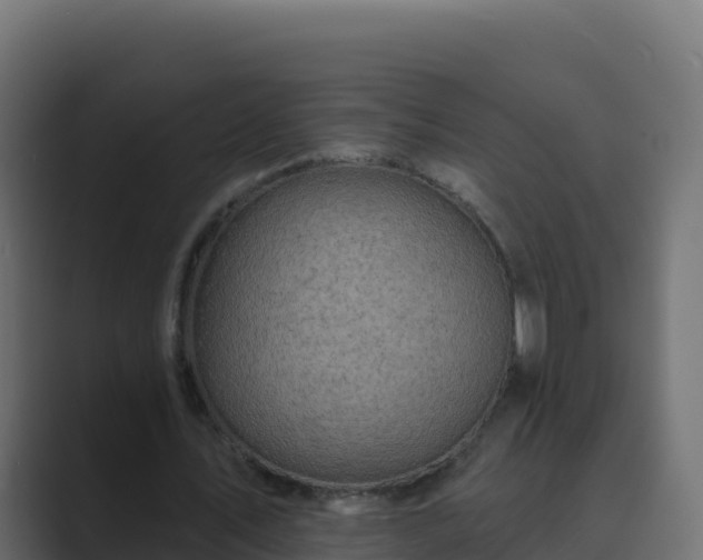 X0000089680579200706281359