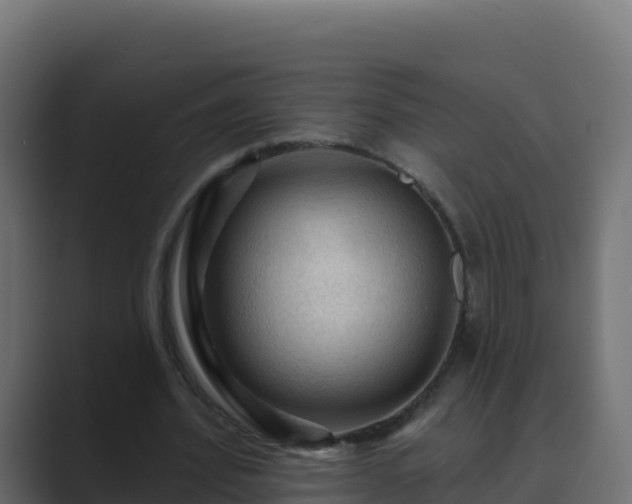X0000089680580200706281359