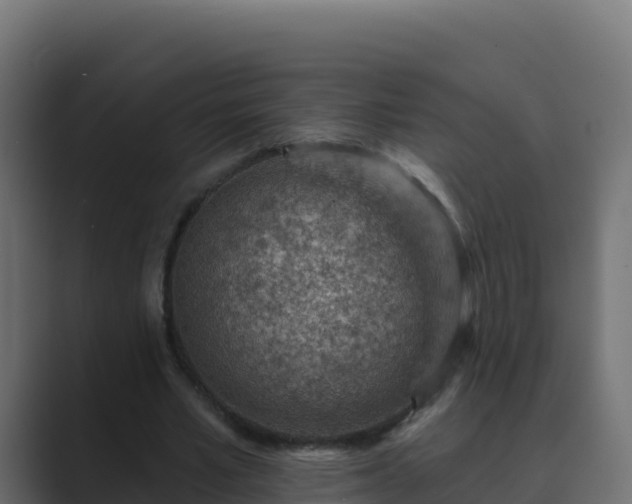 X0000089680581200706281359