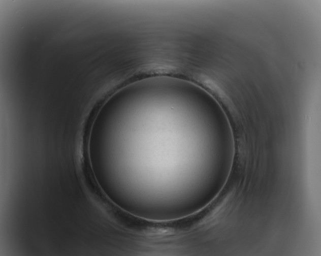 X0000089680582200706281359